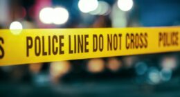 Missing teen found in man's basement: SVU