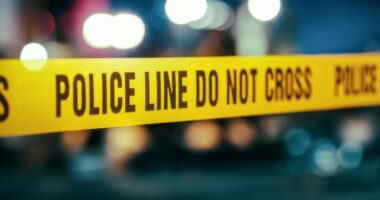 Missing teen found in man's basement: SVU