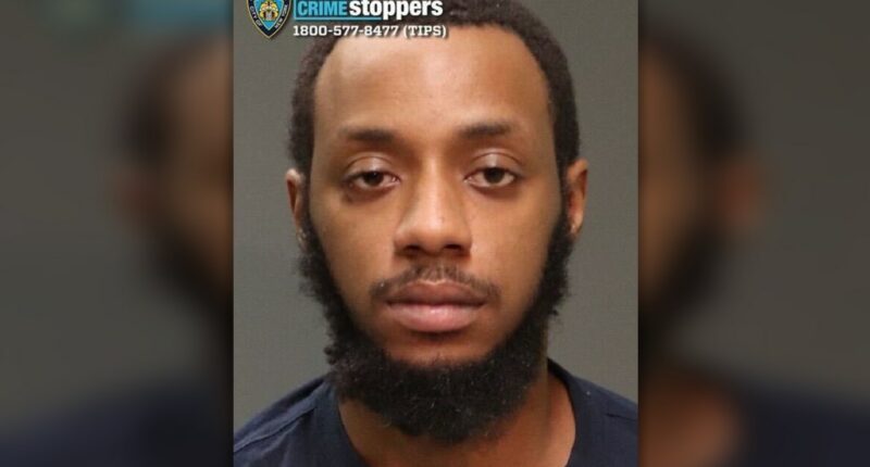 Missing teen held hostage in Bronx apartment by alleged rapist rescued, cops search for more victims