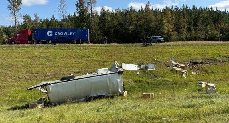 Mississippi woman kills escaped monkey fearing for her children's safety