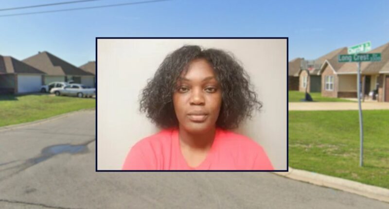 Mom admits to filing false report about dad and infant: Cops