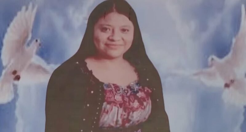 Mom of four shot dead after showing up to clean wrong house