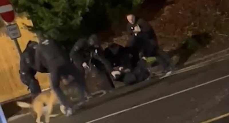Moment Huntingdon train knife attack suspect is wrestled to the floor