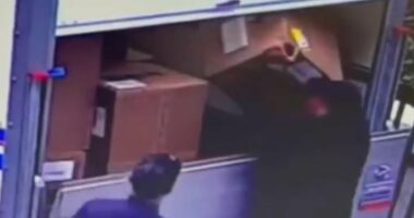 Moment brazen thieves steal parcels by the lorryload in broad daylight