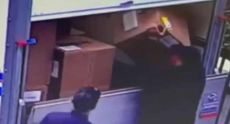 Moment brazen thieves steal parcels by the lorryload in broad daylight