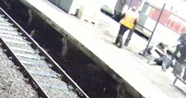 Moment innocent man screams 'it's not me' as police Taser him