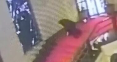 Moment politician falls through priceless stained glass window