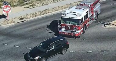 Moment reckless driver, 20, cuts off fire truck and crashes into it
