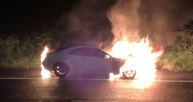 Moment teen's first car is firebombed as Melbourne crime wave spirals