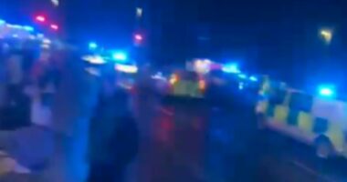 Multiple people stabbed on train as passengers hide in toilet