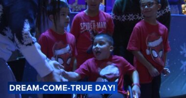 Mundelein boy learns at Chicago Griffin Museum of Science and Industry Spider-Man exhibit he's going to Disneyland