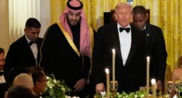 Musk And Ronaldo Attend (Photos)