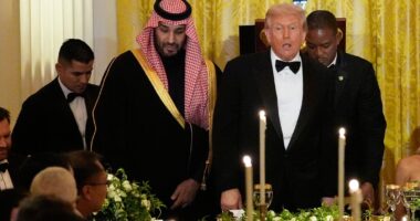 Musk And Ronaldo Attend (Photos)