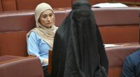 Muslim senator says Hanson burqa stunt will lead to abuse, assault
