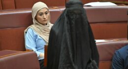 Muslim senator says Hanson burqa stunt will lead to abuse, assault