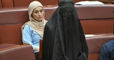 Muslim senator says Hanson burqa stunt will lead to abuse, assault
