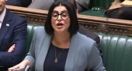 Mutiny in the Labour ranks over Home Secretary's 'cruel' migrant rules