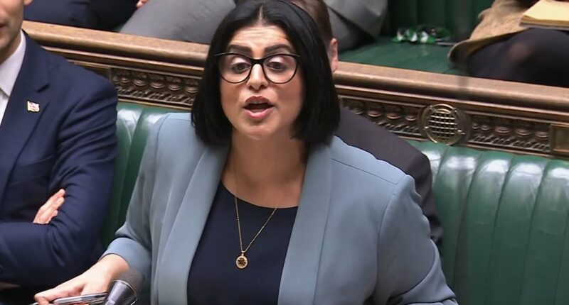 Mutiny in the Labour ranks over Home Secretary's 'cruel' migrant rules