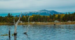 Mysterious Maine cabin that could crack heist that shocked America