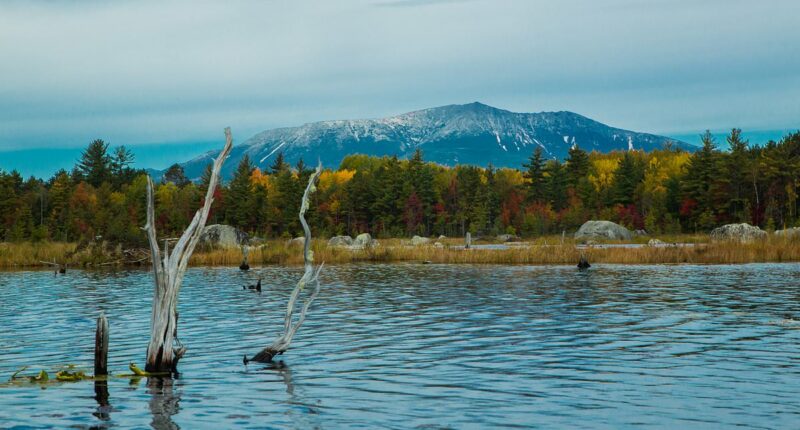 Mysterious Maine cabin that could crack heist that shocked America