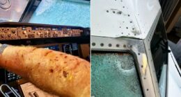 Mystery object broke United flight's windshield at 36,000ft revealed