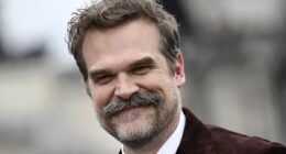 Mystery surrounds David Harbour's absence at Stranger Things premiere