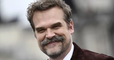 Mystery surrounds David Harbour's absence at Stranger Things premiere
