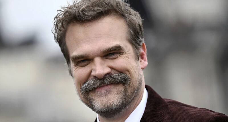 Mystery surrounds David Harbour's absence at Stranger Things premiere