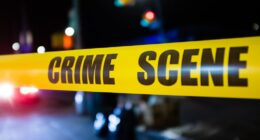 NJ man stabbed to death in Bayonne domestic dispute