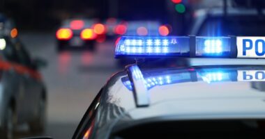 NJ pet sitter accused of fatally shooting dog