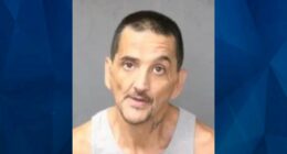 NM Mother’s Dismembered Body Found in Kitchen Freezer, Son Charged with Murder