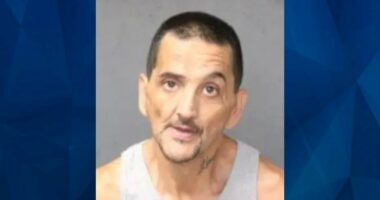 NM Mother’s Dismembered Body Found in Kitchen Freezer, Son Charged with Murder