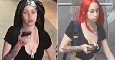 NYPD shares photos of woman sought in shooting of man dumped at Bronx hospital