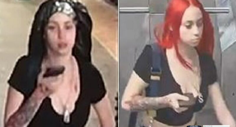 NYPD shares photos of woman sought in shooting of man dumped at Bronx hospital