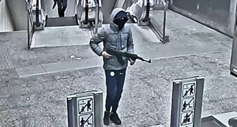 'Narco state' Belgium: How gangs took control, with kids shot