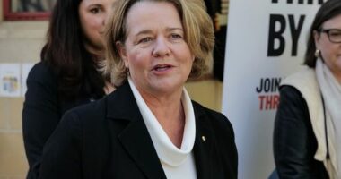 Photo of Billionaire philanthropist Nicola Forrest  gives a press conference at Goodstart Box Hil centre on Tuesday 3 May 2022