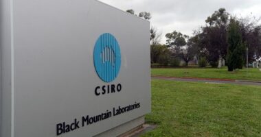 CSIRO scientists claim they have less time for research and are forced to take on menial tasks. (AAP)