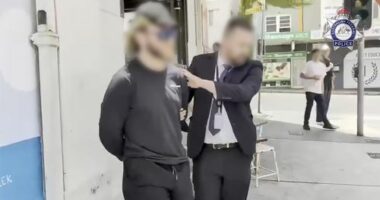 Neo-Nazi accused of threatening politician denied bail