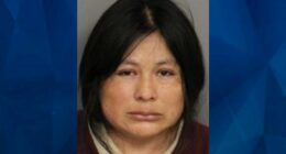 New York Tot Dies After Mother Leaves Him in Hot Car Over 8 Hours: Police