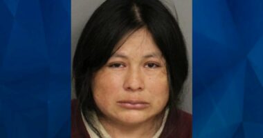 New York Tot Dies After Mother Leaves Him in Hot Car Over 8 Hours: Police