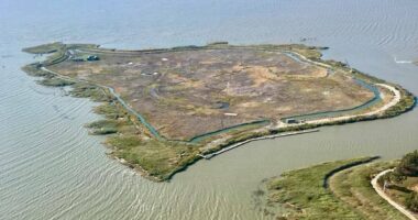 New owners of private island once realize it's 'a death trap'
