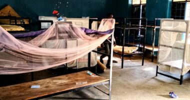 Nigerian children as young as 5 among hundreds kidnapped, nun says