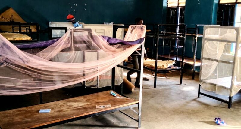 Nigerian children as young as 5 among hundreds kidnapped, nun says