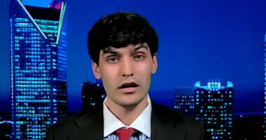 Nikki Haley's son slammed after housing crisis comments