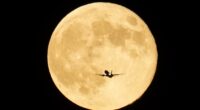 November’s Super Beaver Moon will be the closest and brightest of the year
