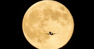 November’s Super Beaver Moon will be the closest and brightest of the year