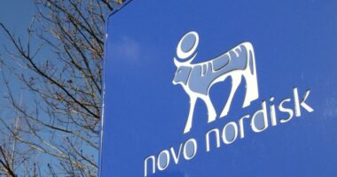 Novo Nordisk logo featuring a stylized blue bull and company name on a large blue sign.