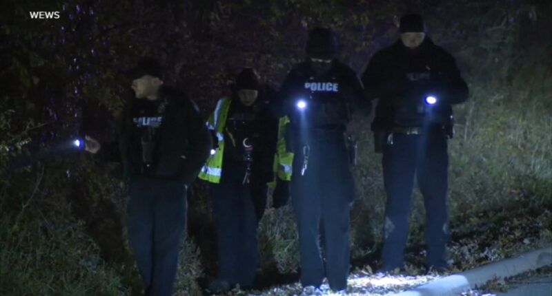 Ohio news: 9 injured in Bath Township shooting at birthday party held at large Airbnb include children, adults