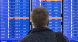 One in FIVE flights may be canceled next week if shutdown doesn't end