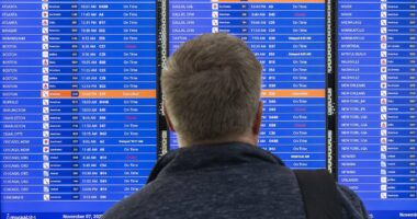 One in FIVE flights may be canceled next week if shutdown doesn't end